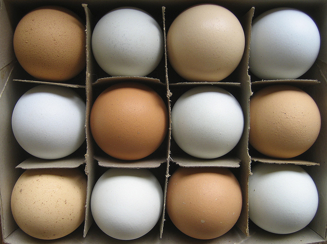 Сколько протеина в куринном яйце?