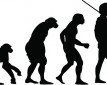 Почему эволюцию относят к историческому процессу?