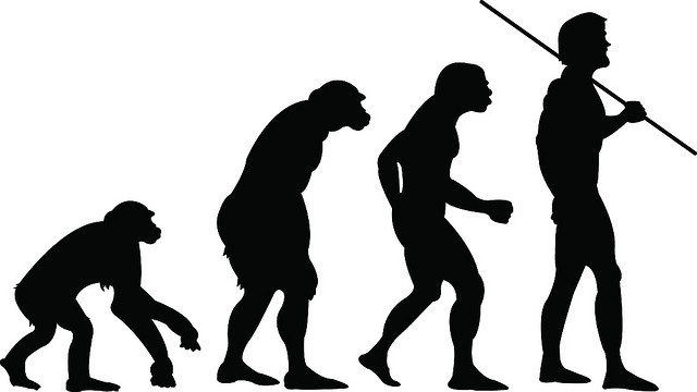 Почему эволюцию относят к историческому процессу?