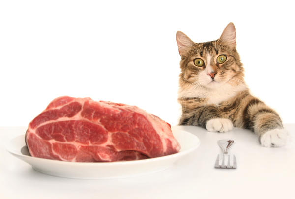 Мясная продукция в кошачьем списке
